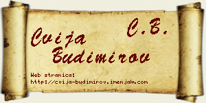 Cvija Budimirov vizit kartica